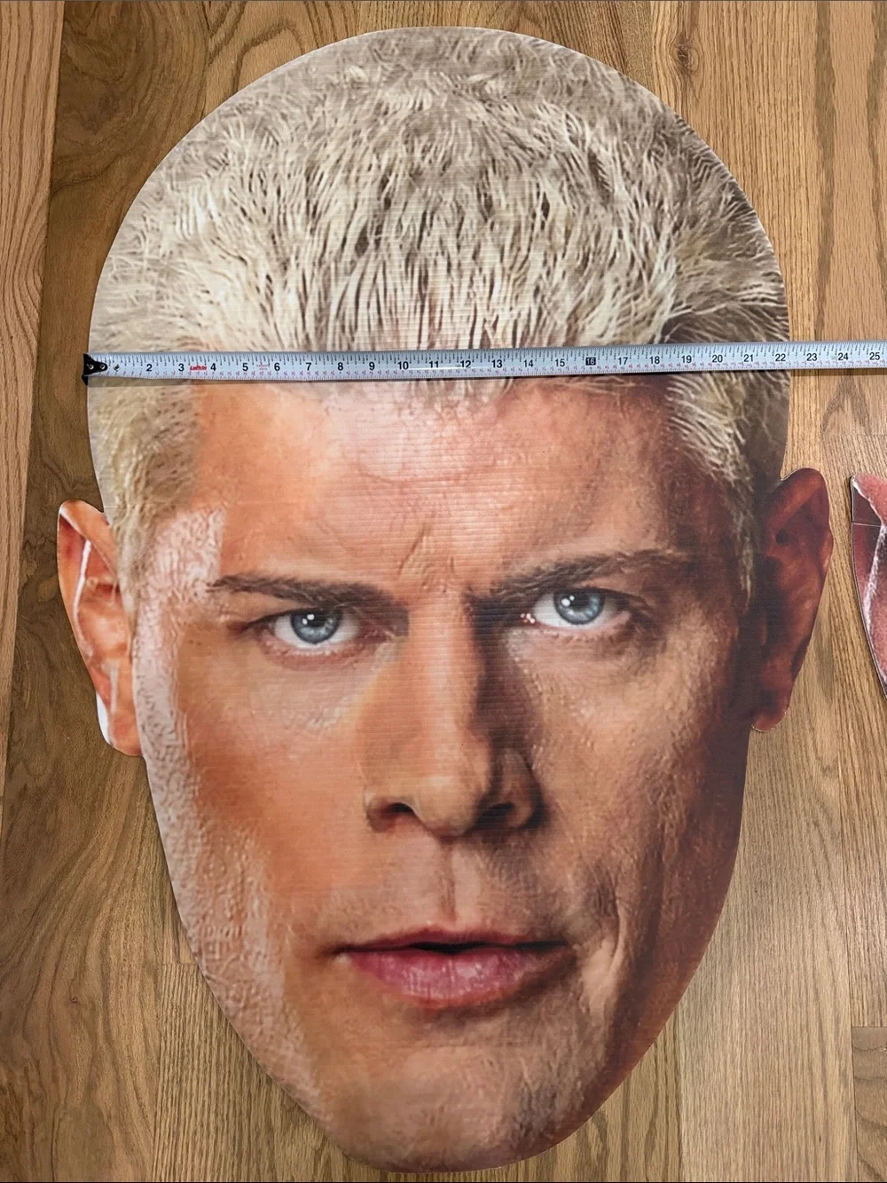 WWE big head party decor/room decor (price is for both 2 for $60)